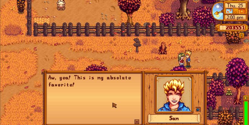 Image of a character giving a Tigerseye to Sam in Stardew Valley