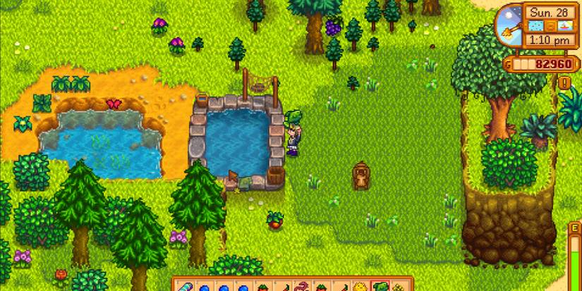 Image of a character putting a Slimejack in a Fish Pond in Stardew Valley