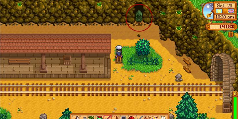 Image of the entrance to the Witch's Lair in Stardew Valley