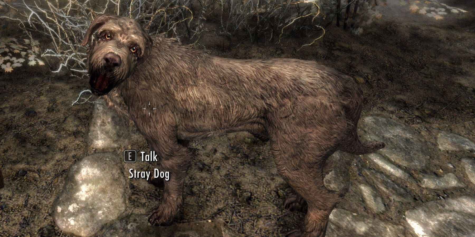 Skyrim How to Get a Dog Follower