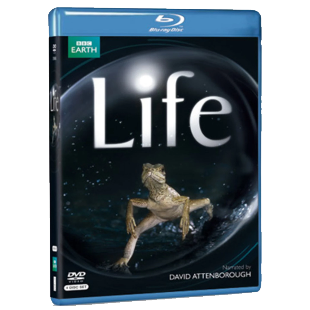 The Best Blu-Ray & 4K David Attenborough Nature Documentaries For An Epic Nature Journey Life