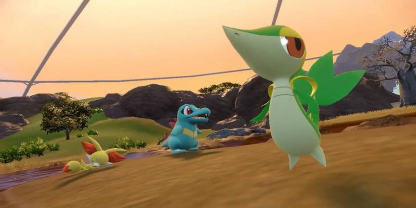 The-Indigo-Disk-Starters