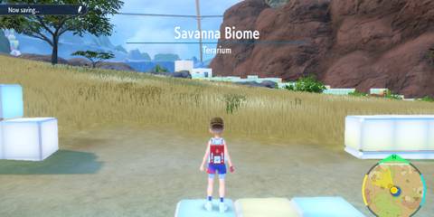 The Savanna Biome In Pokemon Scarlet & Violet Indigo Disc DLC