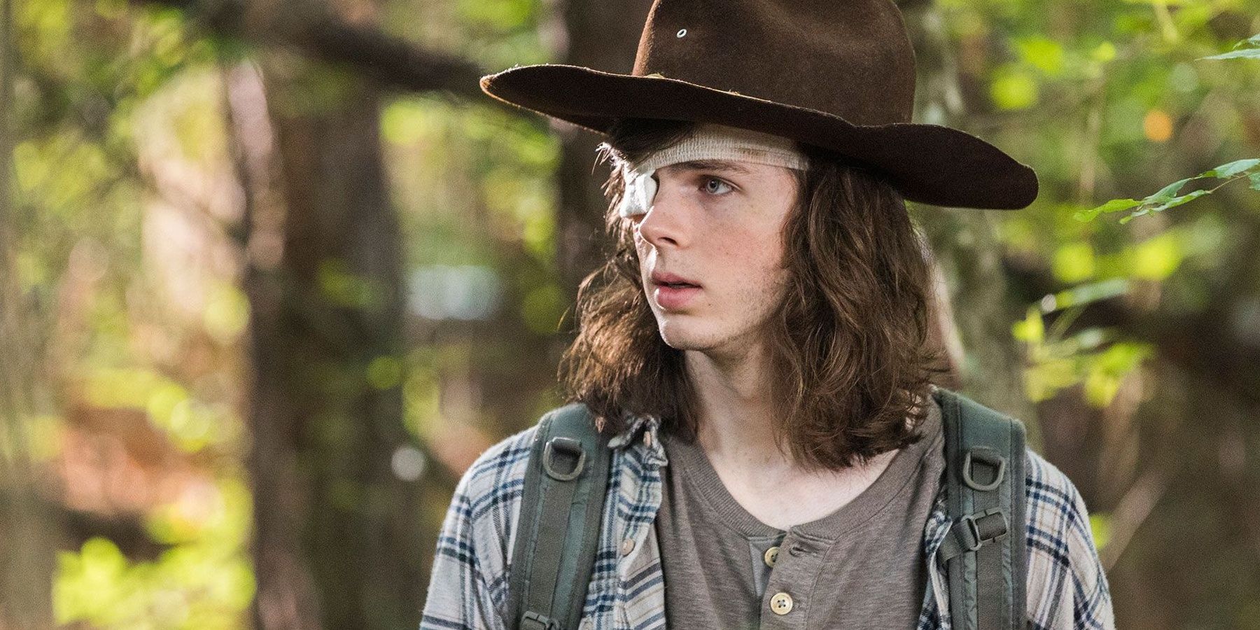 The Walking Dead Carl's Death, Explained