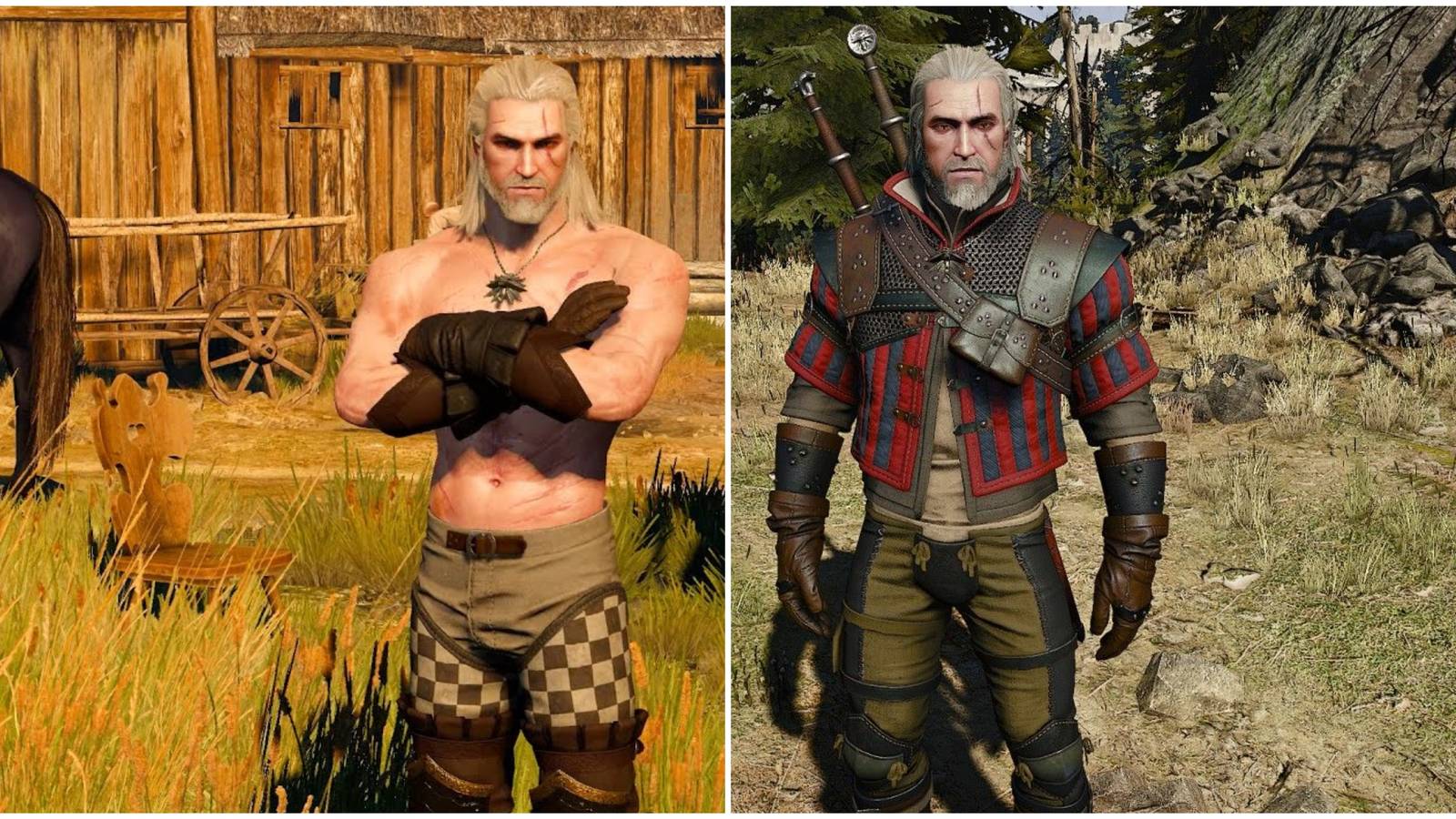 The Witcher 3: Things To Do If You're Bored