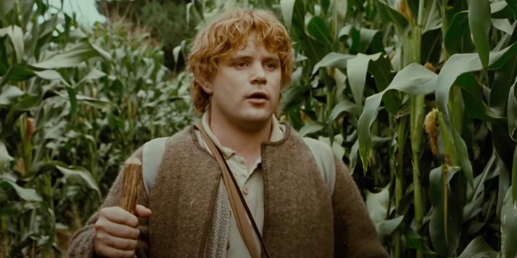 Sam in a crop field holding a walking stick in The Lord of the Rings: The Fellowship of the Ring