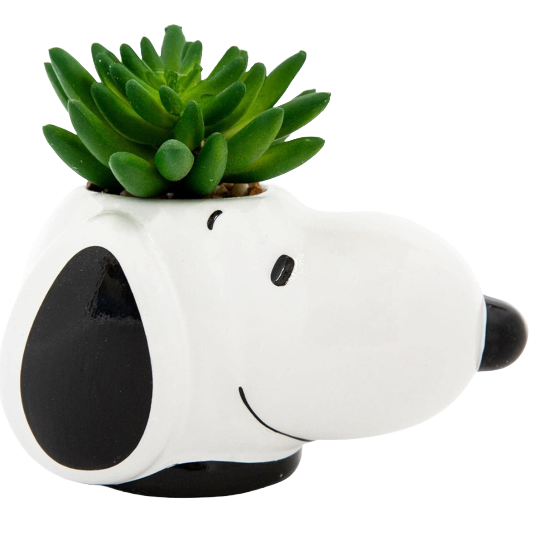 Peanuts Snoopy Face Ceramic Mini Planter with Artificial Succulent