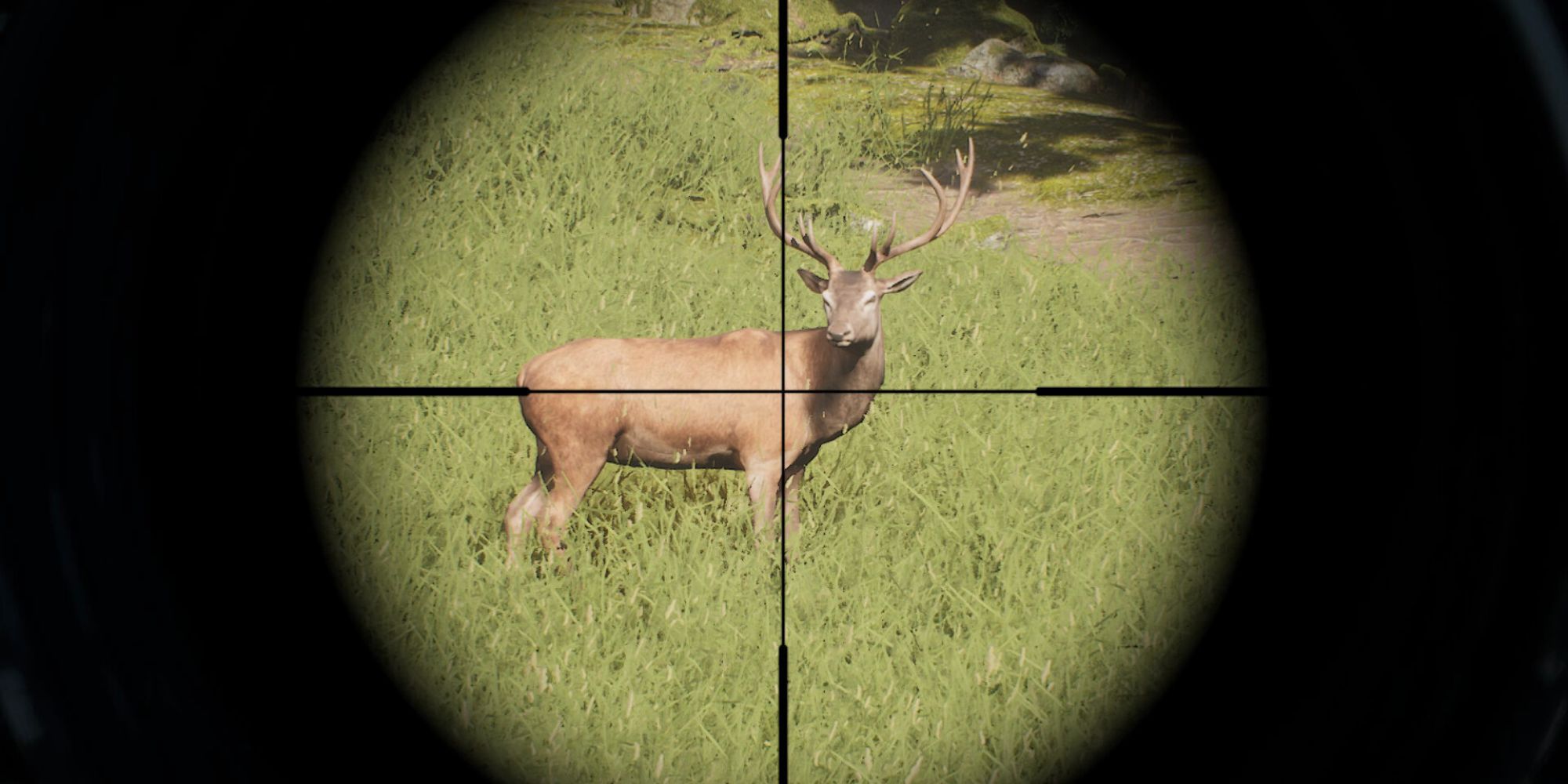 A player with a deer in their sights in Project Hunt