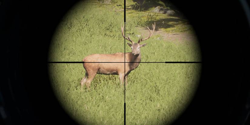 A player with a deer in their sights in Project Hunt