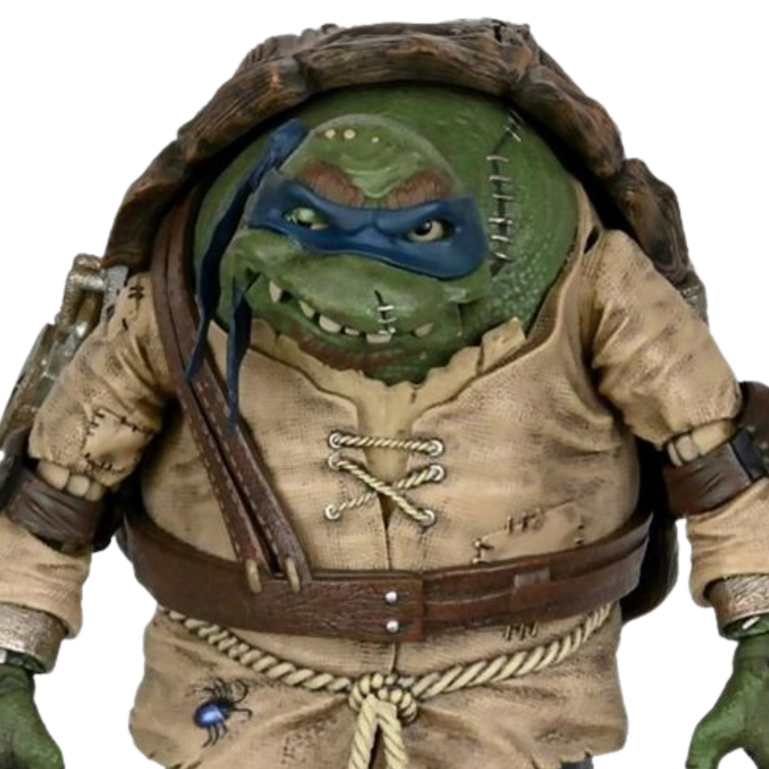 This image shows Leonardo from TMNT as the Notre Dame