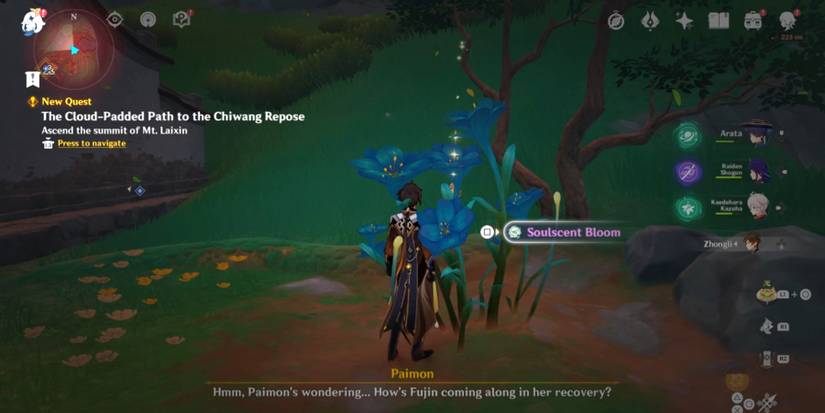 wait one day for the divine plant to sprout in genshin impact