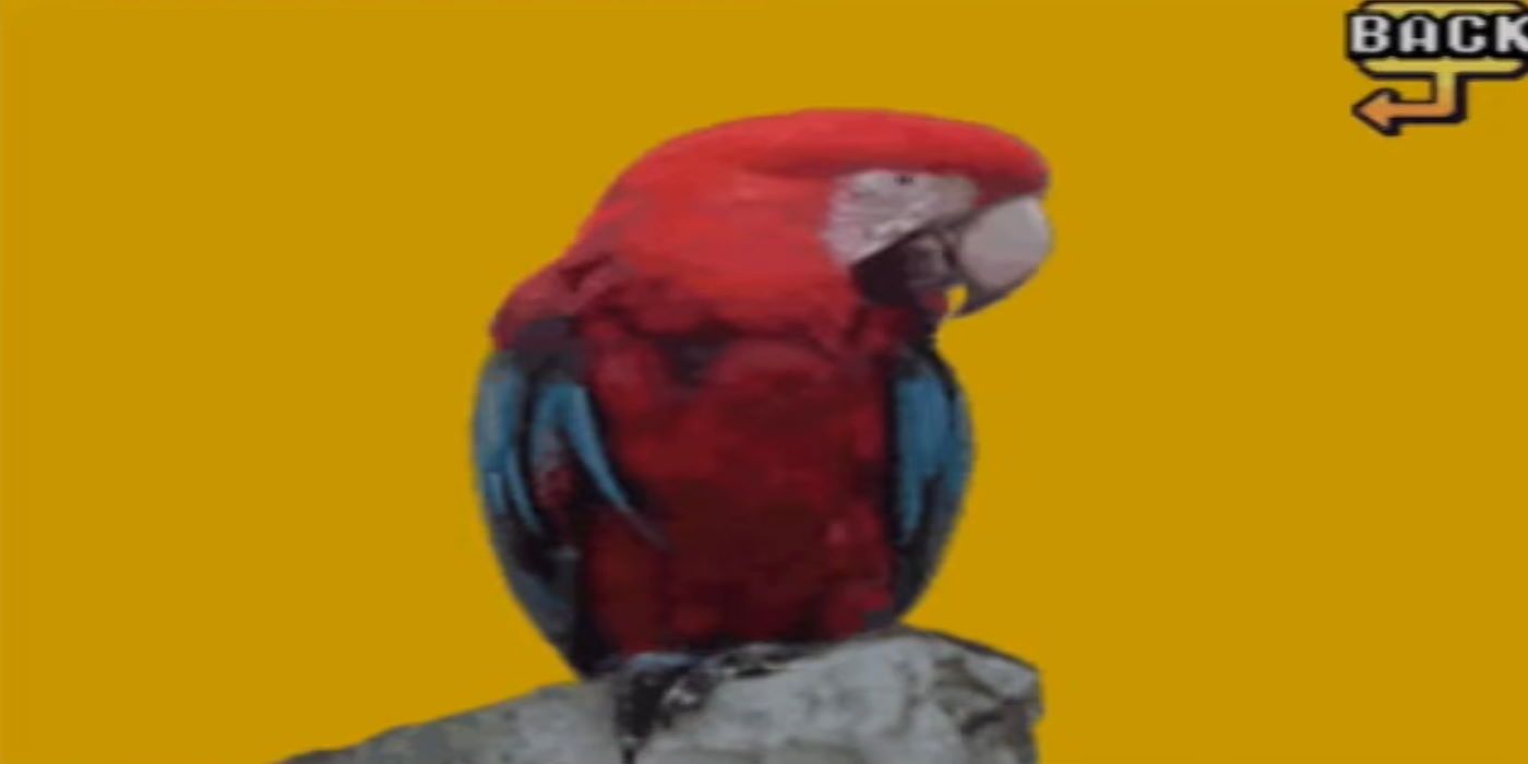 A realistic image of a parrot on an orange background