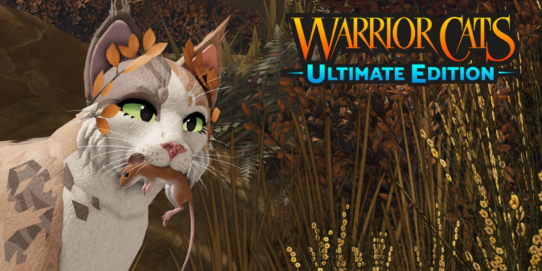 Warrior Cats Ultimate Edition cat