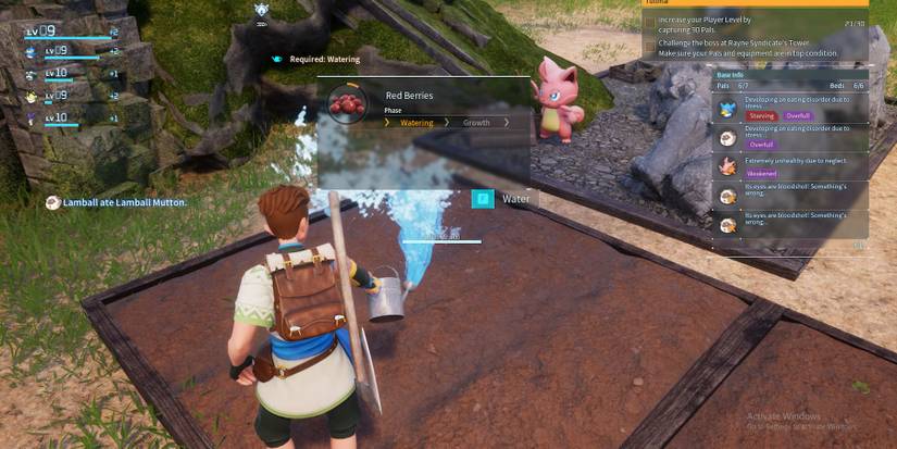 watering berry plantation