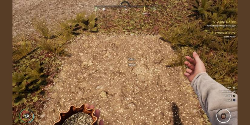 wheat medieval dynasty