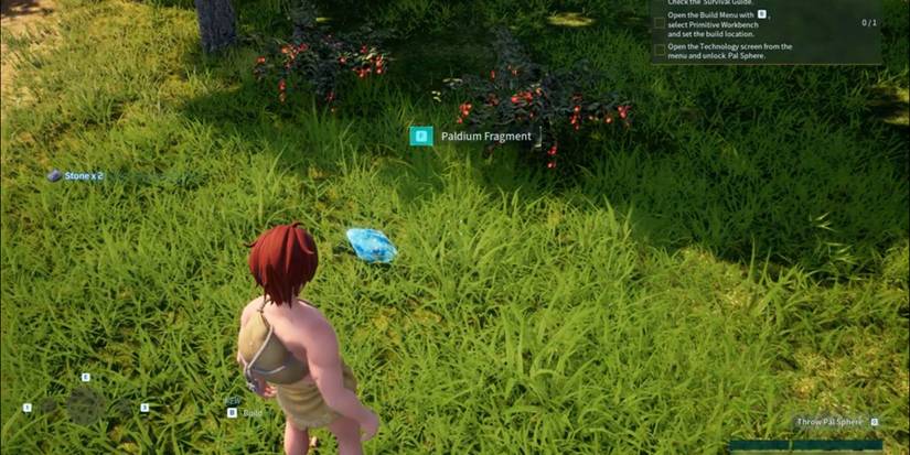 where to find paldium fragments in palworld