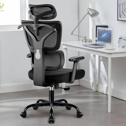 Winrise Office Chair Ergonomic Desk Chair