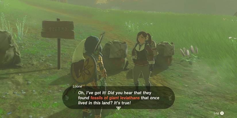 Zelda TOTK Colossal Fossil Quest