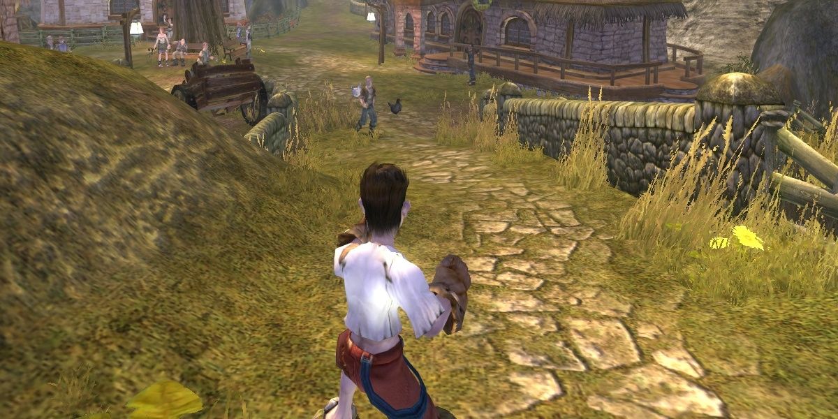 the player character in oakvale in fable