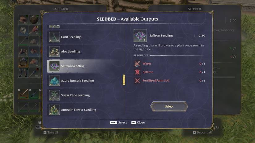 Saffron Seedlings in Enshrouded