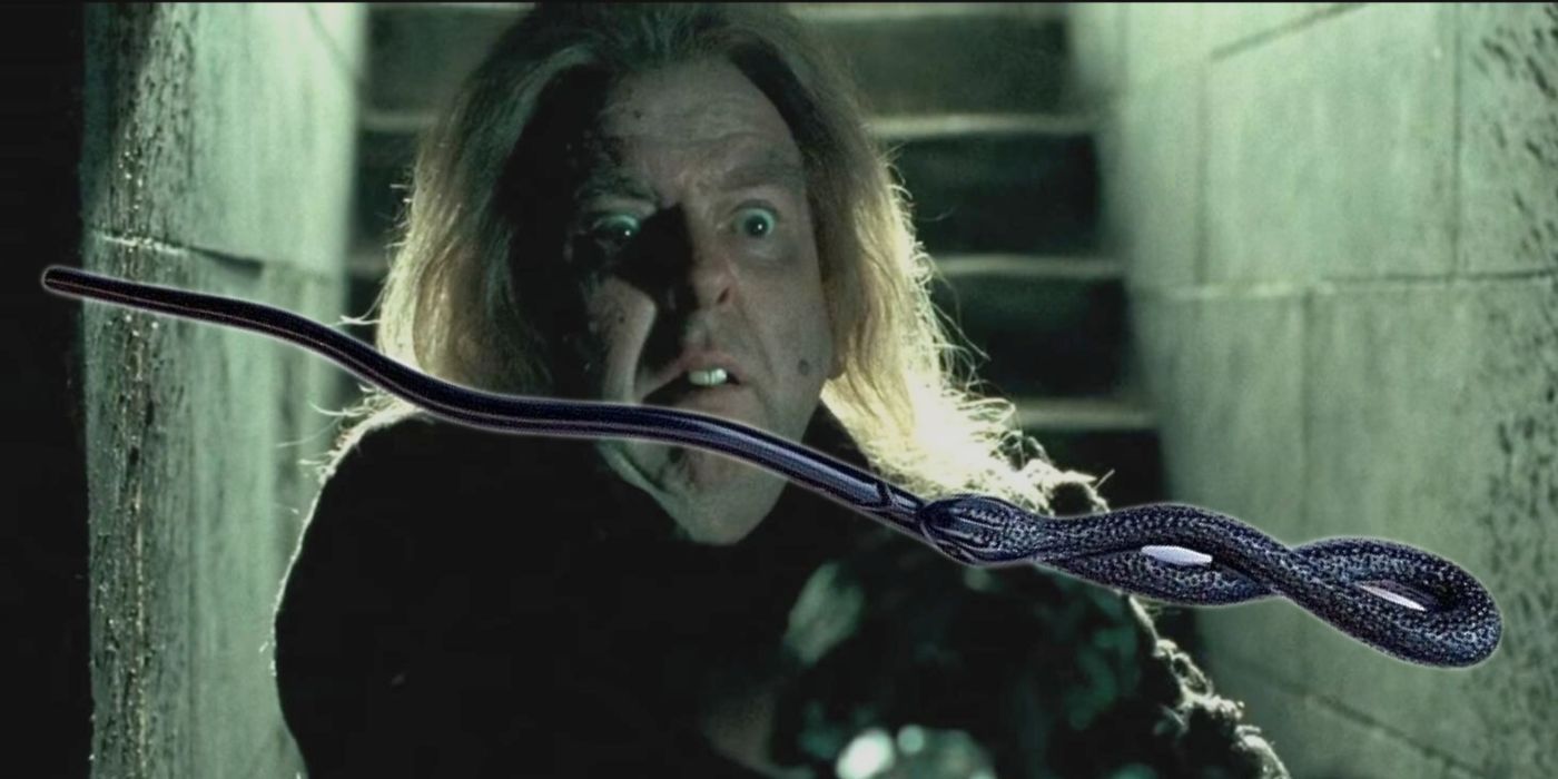 Peter Pettigrew's Wand