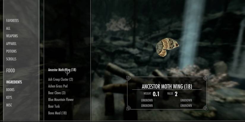 Ancestor Moth Wing in Skyrim