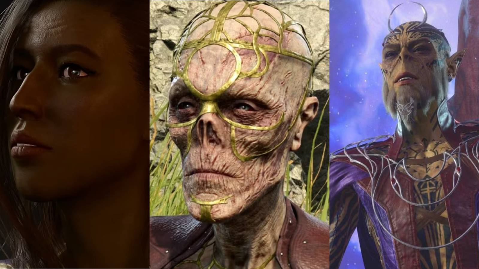 Baldur's Gate 3, Florrick The Elf, Withers The Skeleton, Orpheus The Githyanki Prince