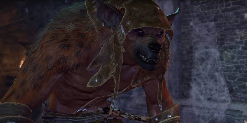 Baldur's Gate 3, Barnabus The Gnoll (Humanoid Hyena) In Moonrise Towers