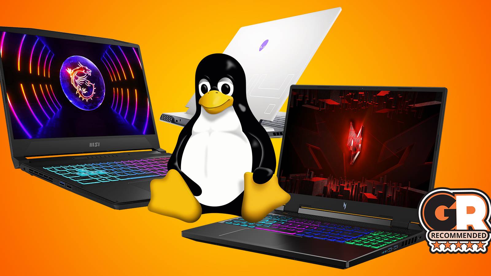 Lion Computer Best Laptops for Linux in 2024