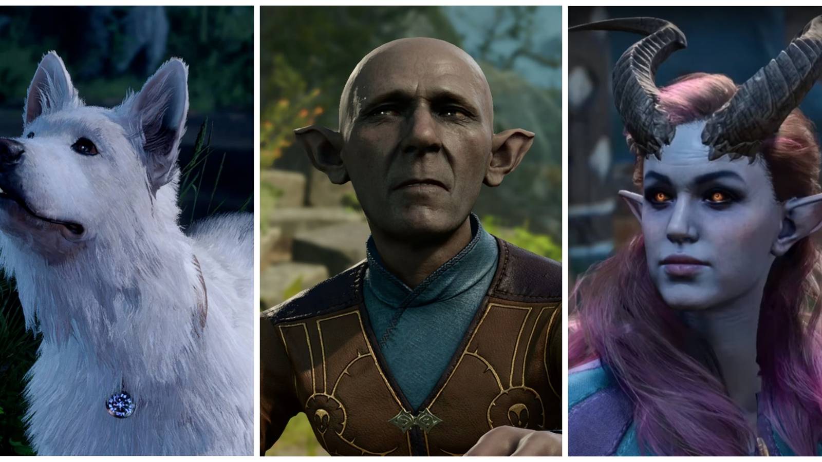 A collage of Baldur's Gate 3 characters: Scratch (left), Barcus (center), and Alfira (right).