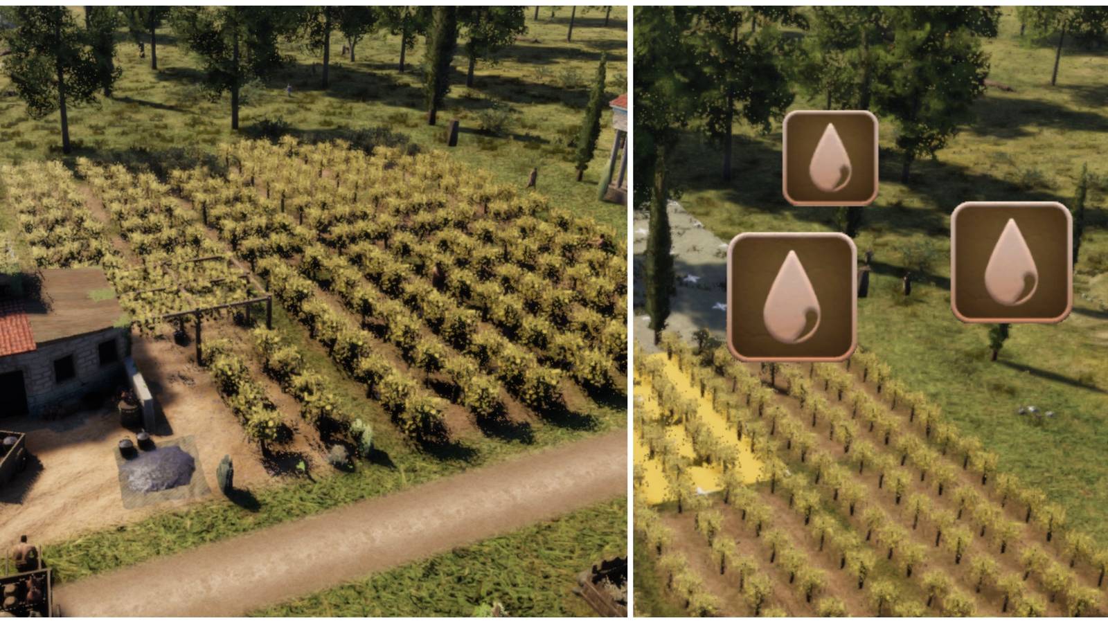 grapevine plantation water required sign