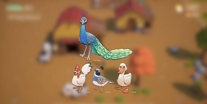 best barn and coop animals in coral island.