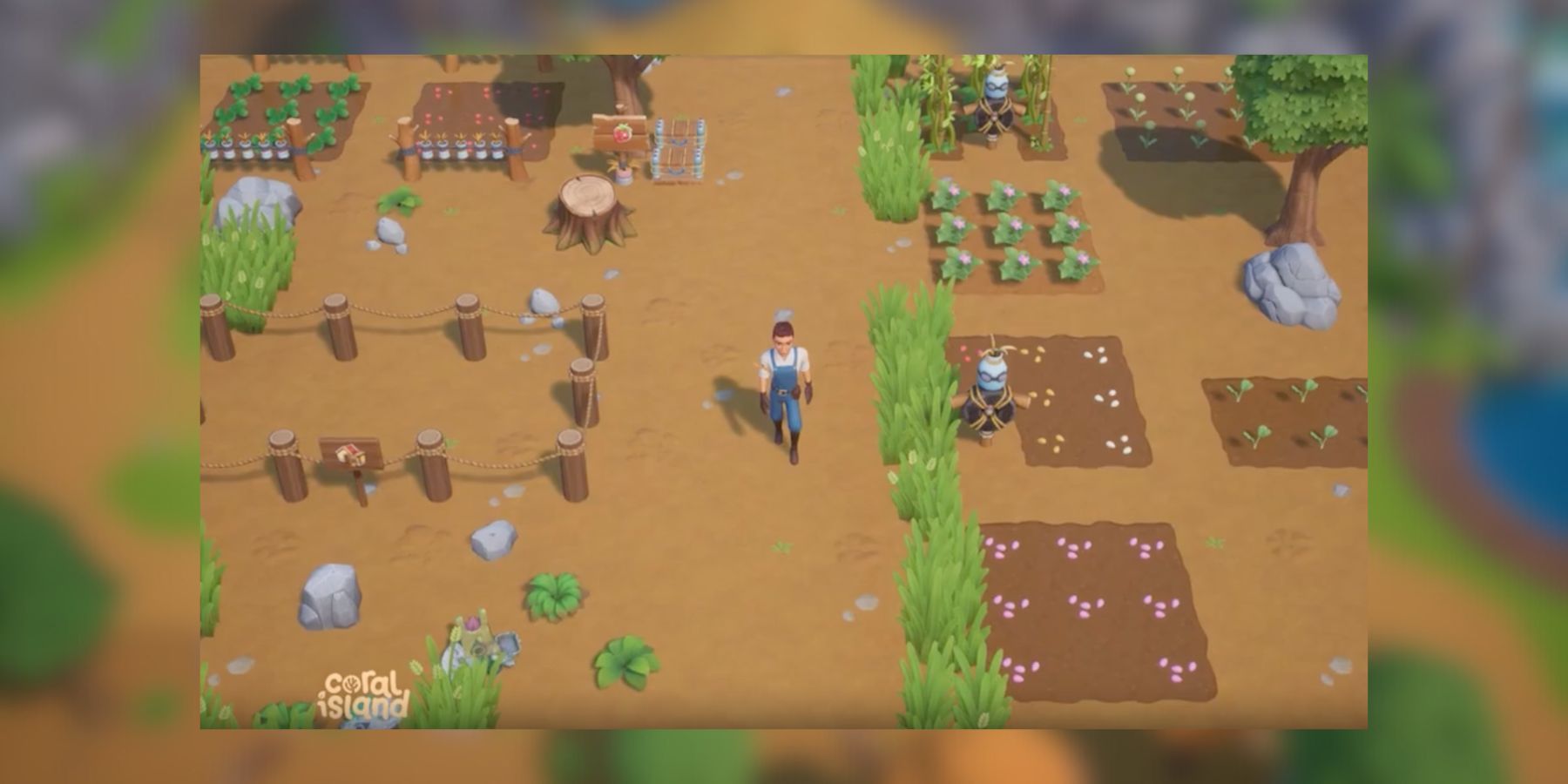 growing grass to craft hay on your farm in coral island.