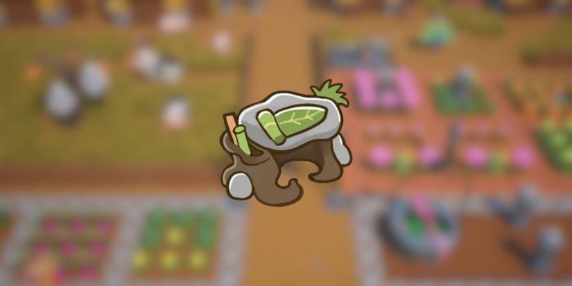 the architect desk in coral island.