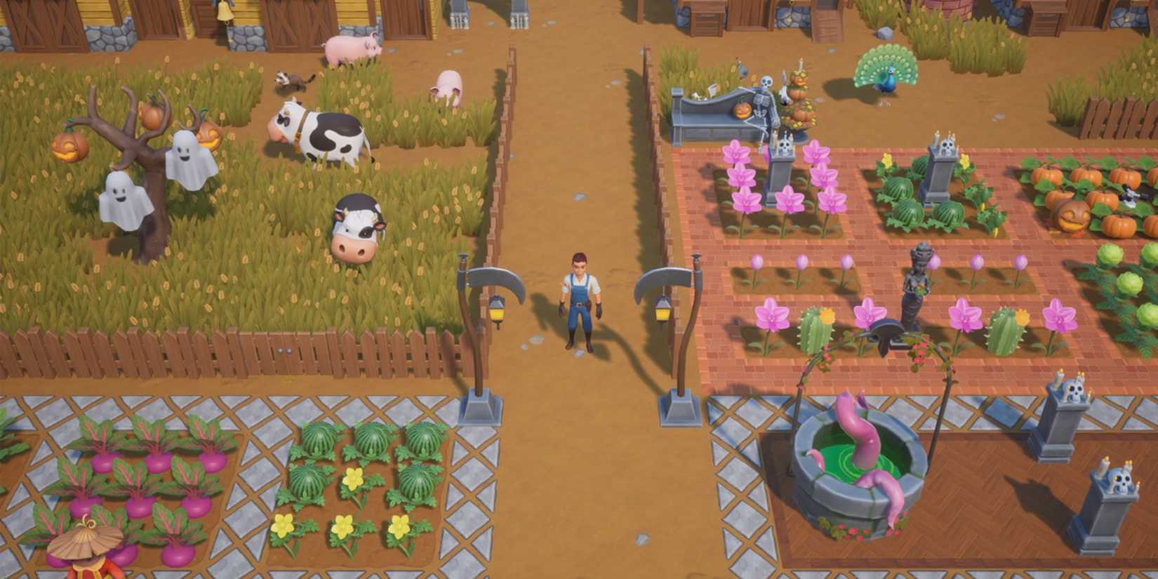 an arranged and organized farm in coral island.