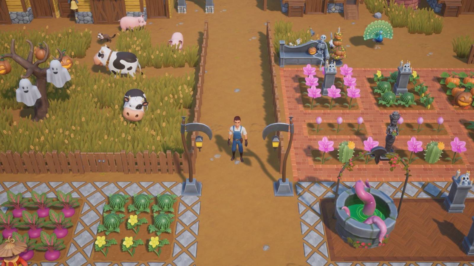 an arranged and organized farm in coral island.