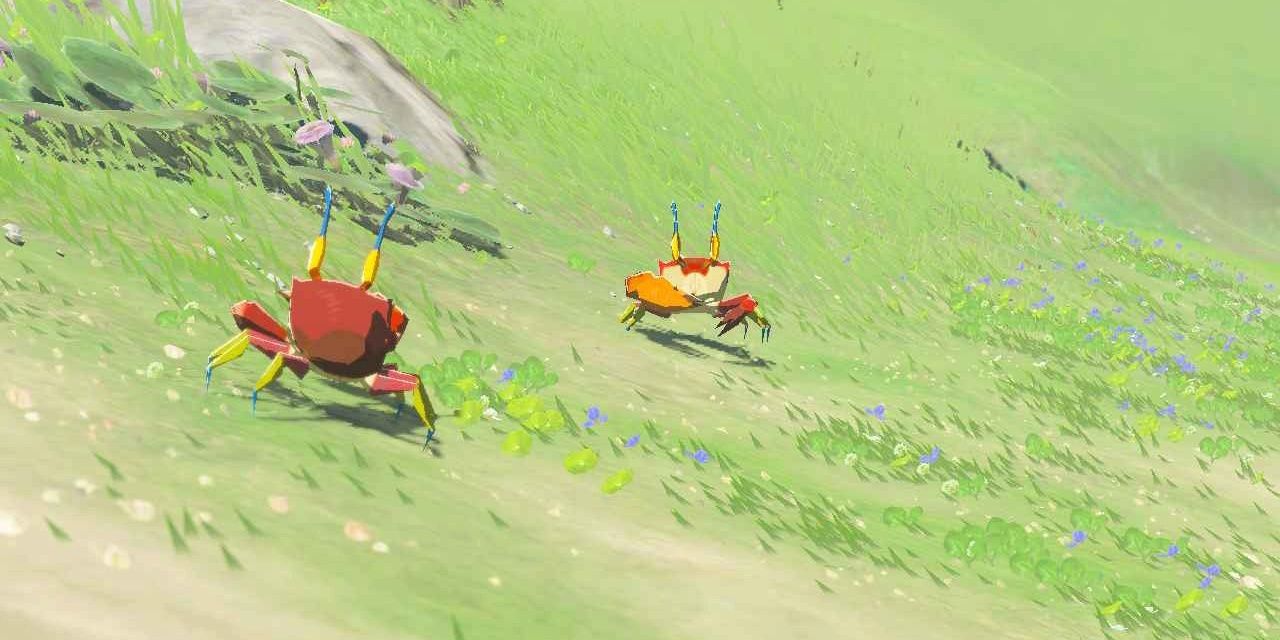 Crab in Breath of the Wild