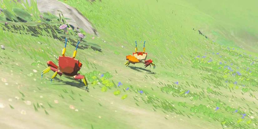 Crab in Breath of the Wild