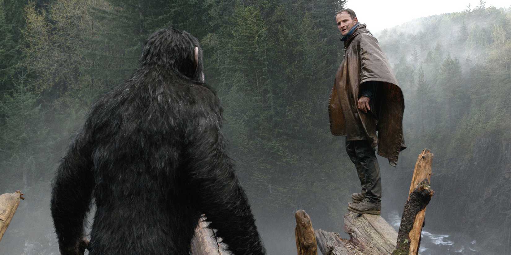 Caesar stares at Malcolm in Dawn Of The Planet Of The Apes