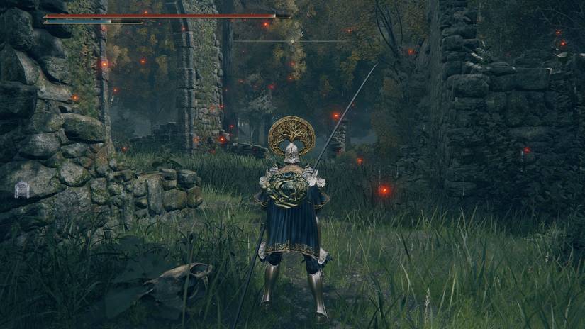 Elden Ring - Shield of the Guilty