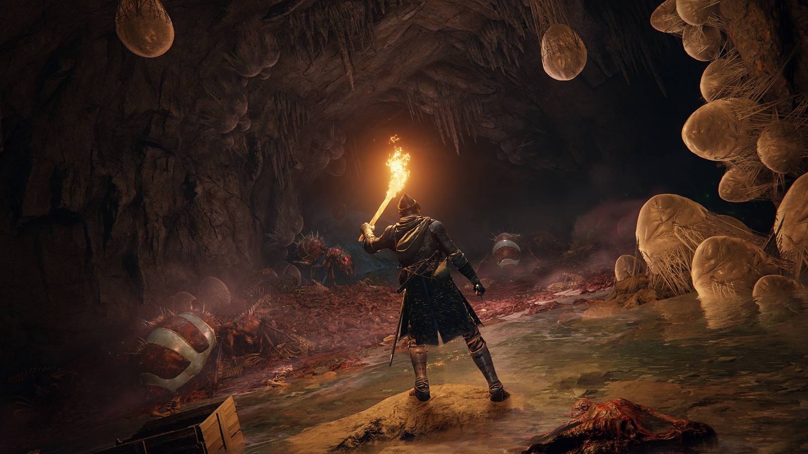 elden ring tarnished with torch