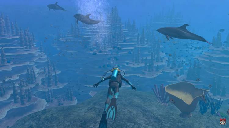 Endless Ocean Making a Comeback After 14 Years - Main Image