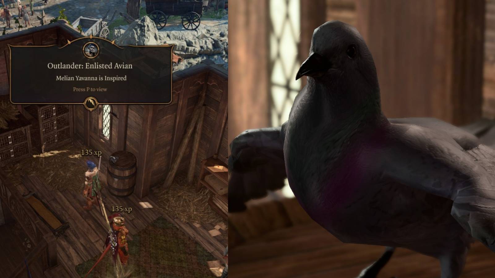 Enlistd Avian buff Baldur's Gate 3