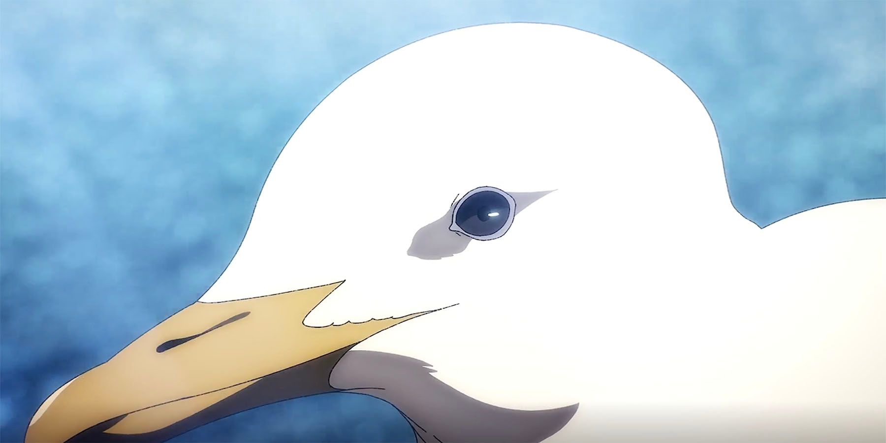 eren bird eyes - A Bird's Eye View