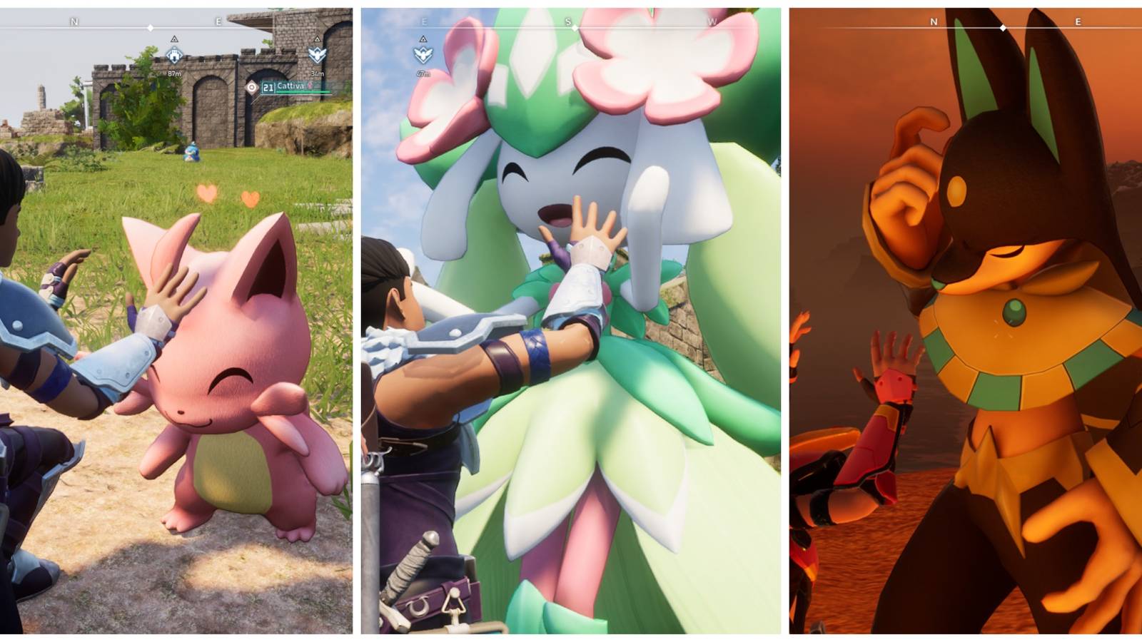 Versatile Pals Suitable for Many Types of Work