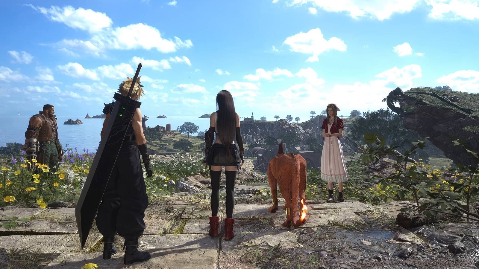 cloud and party looking at grassland