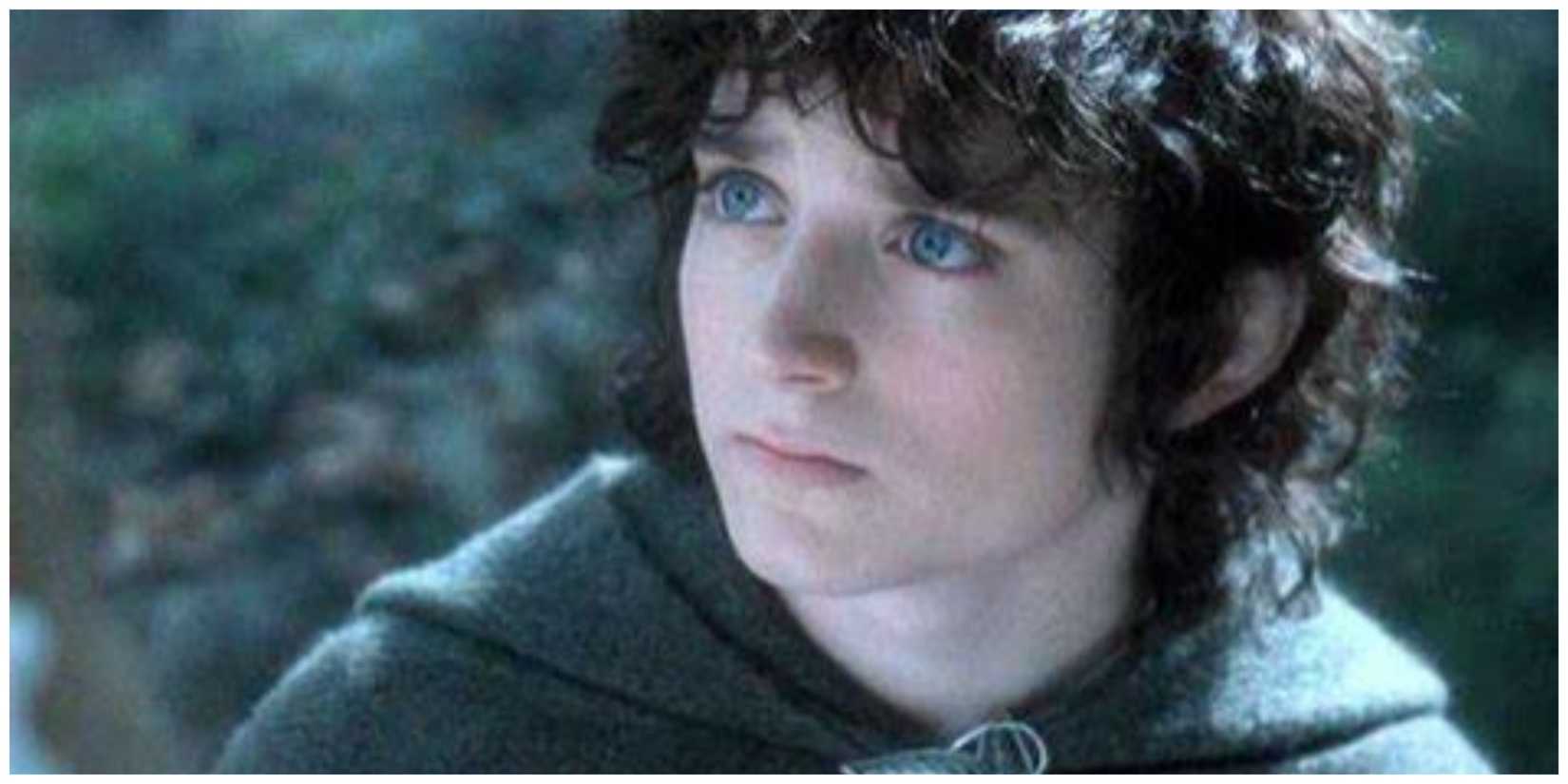 Frodo Baggins in The Lord of the Rings