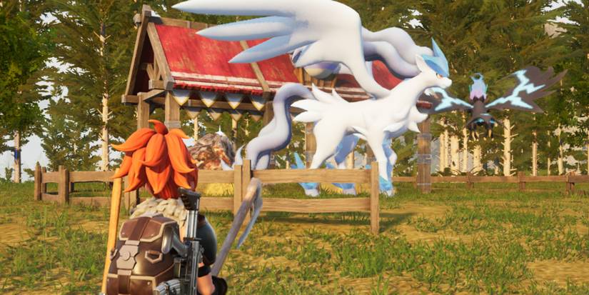 frostallion and hazephyr breeding