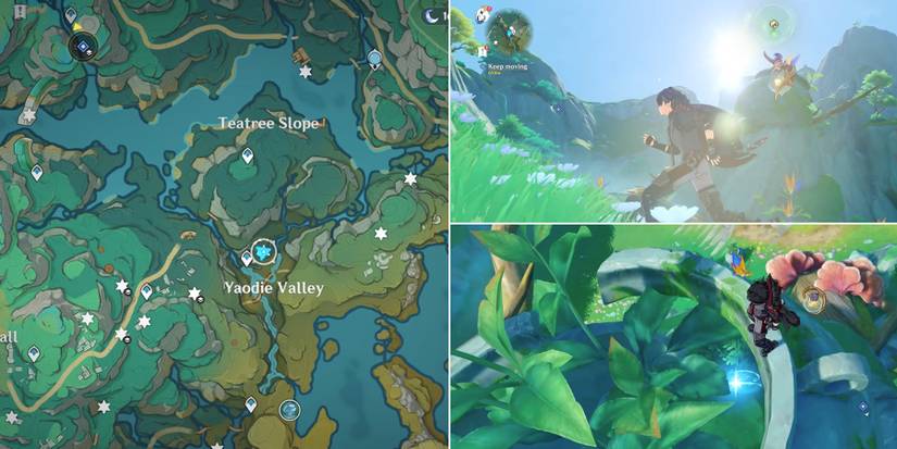 genshin impact spirit carp location 42