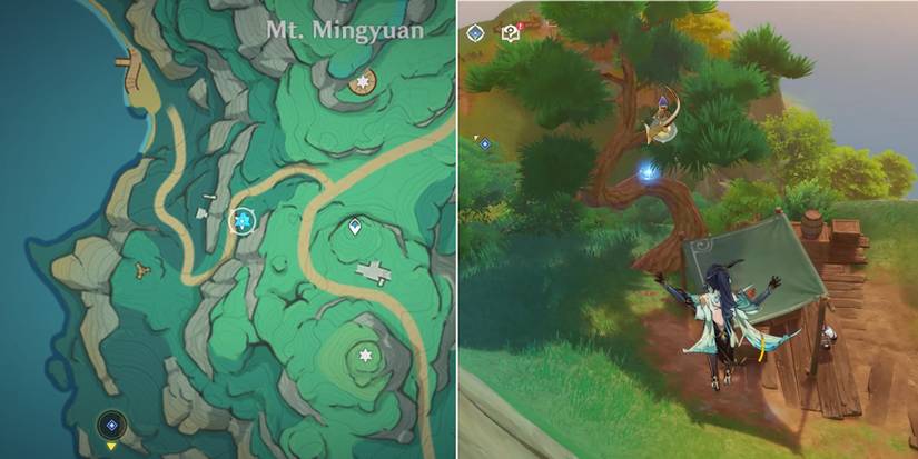 genshin impact spirit carp location 6